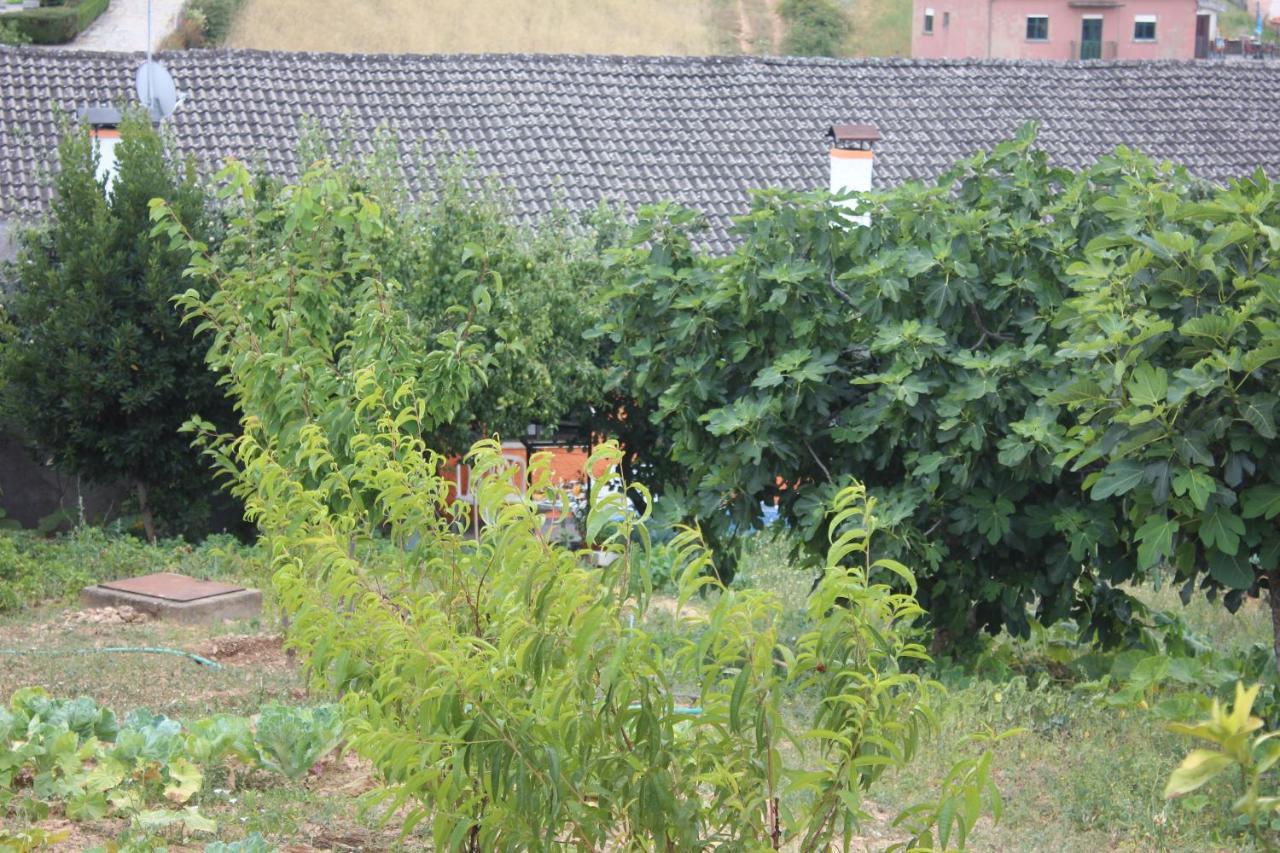 Campo de VíborasCasa Do Campo别墅 外观 照片